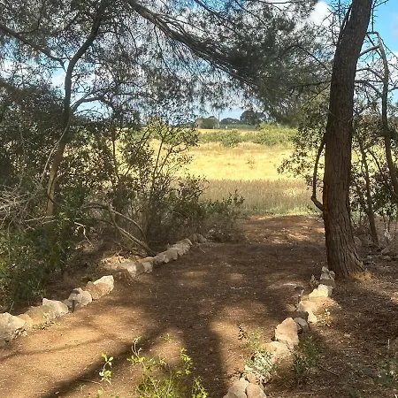 Gites Dans Domaine Des Barrettes Agde Extérieur photo