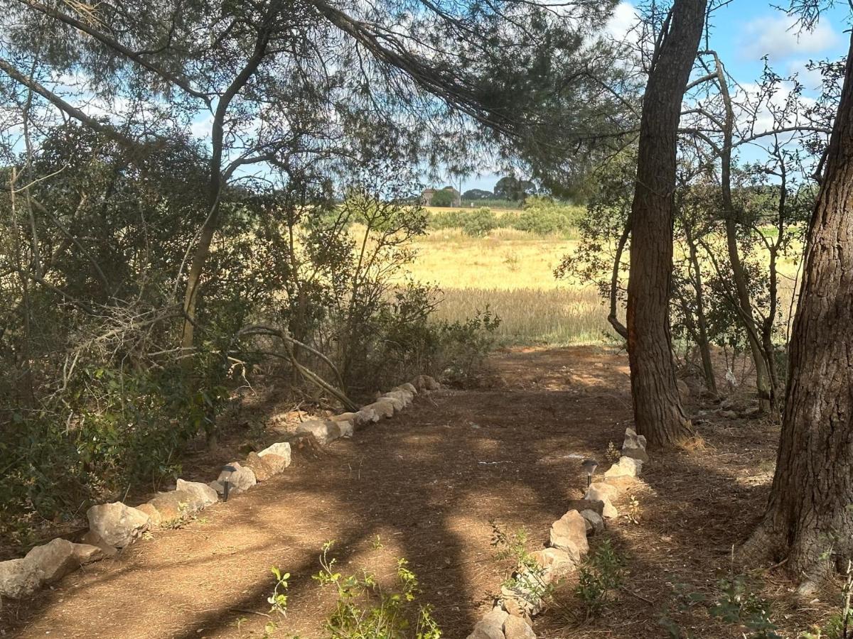 Dans Domaine Des Barrettes Agde